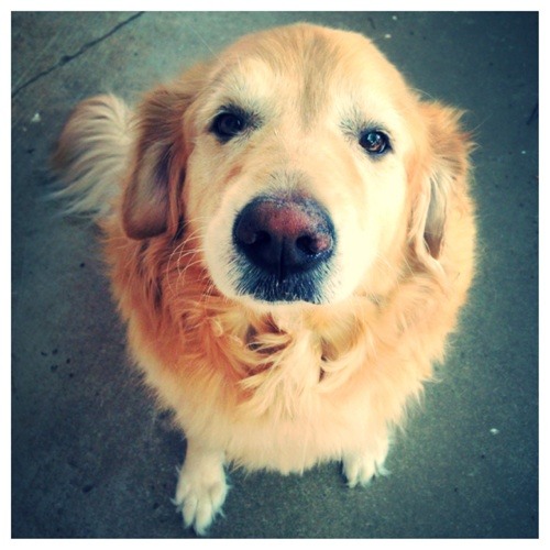 Feint/DnB/Electronic