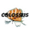 THE COLOSSUS