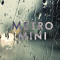 MetroMini