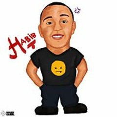 Mohamed Abdalaa Habib