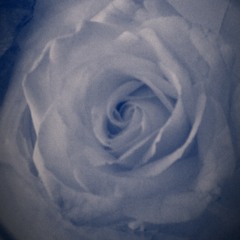 iam_mickey81