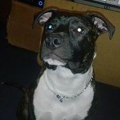 Buttabeanz Thebeatkilla