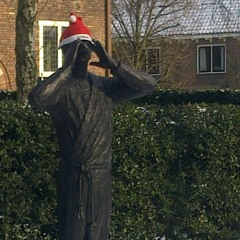 Roy Koopmans 2