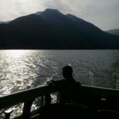 Vlad Gabriel Stoenescu