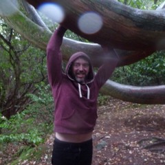 Final Project for Programming for Digital Artists and Musicians Course