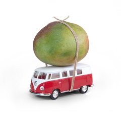 MANGOBUS