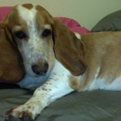 meghannwroteasongforme