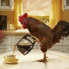 Chagoelverdugo Visoso