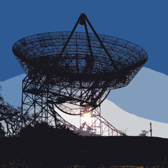 The Peninsula Report