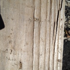 Oldwoods