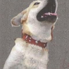 Isair Rodriguez Huacachi