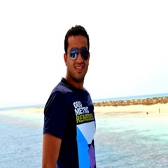 Ashraf Elshemy1