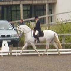 Rosemarie Ahern O'Gorman