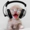 yourhousekitten