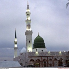 user592350593الحسيني
