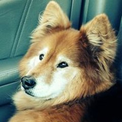 Catherine Turcotte 1