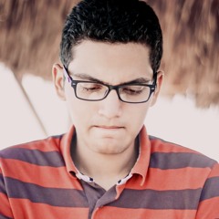 Ahmed Adel Radwan