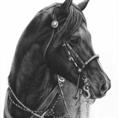 Mohamed Adel Salama 1