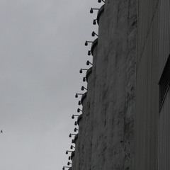 Florence-Delphine Roux