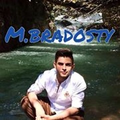 Mohamad R Bradosty