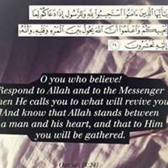 Abdulqaadir Muhammad