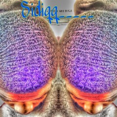 Sidiqq_____