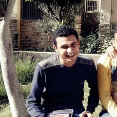 Bahaa Mohsen Lasheen