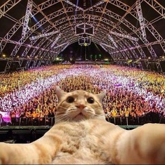 katzen_music