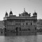 nirmal brar 2