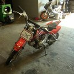 Alexander Vandamme 1