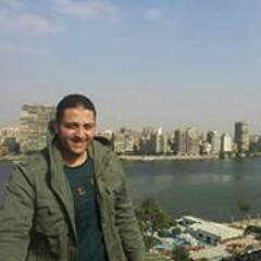 Mohamed Mahmoud Wahba