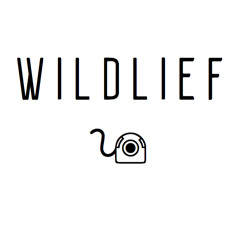 Wildlief