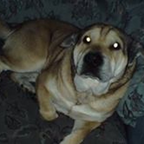 T-SHIRT GENERAL LEE DUCHI Di HAZZARD Bo Luke Daisy Duke Maglietta - Foto 14