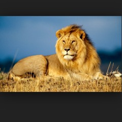 Brandon Lion Bozarth