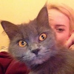 Penelope Joan Gillies