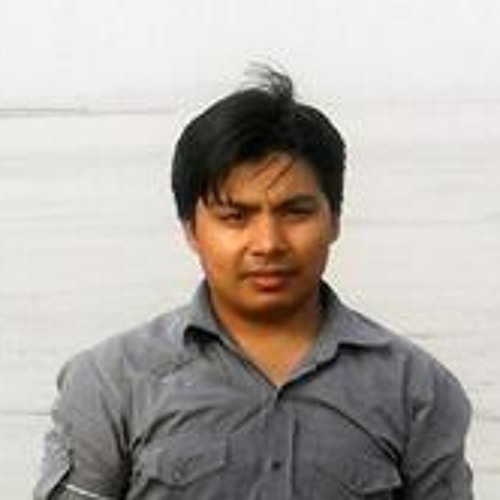 Naveed Gull Mirza’s avatar