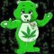 user447688656