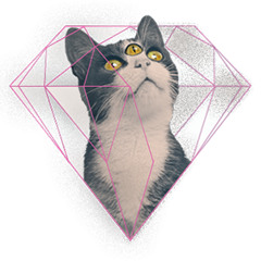 discoordeath