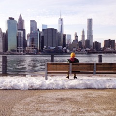 Etienne Cook Geffroy