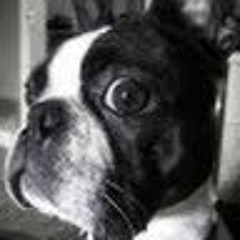 cory_t