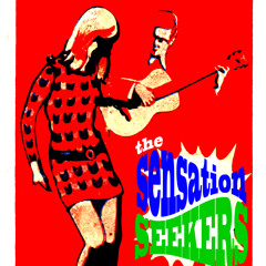 The Sensation Seekers