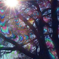 More great shit. $$$