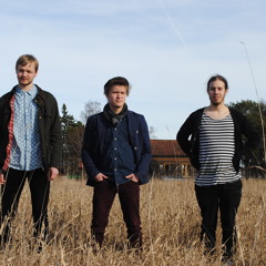 Angstbadan Blues Trio