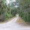 Dirt Roads