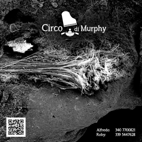 Circo di murphy’s avatar