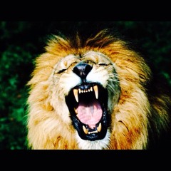 xLionHeadx