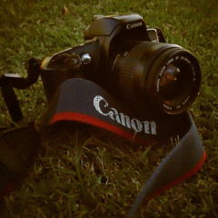 user240141414
