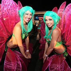 HOUSE ALLIANC LOS ANGELES