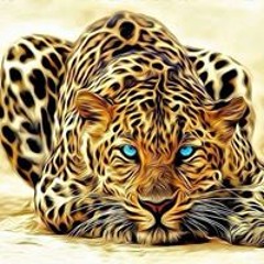 Lloyd Deenev Williams