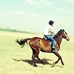 Ahmed.d